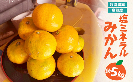 [超減農薬・高糖度]塩ミネラルみかん 約5kg [配送不可:北海道・沖縄・離島] みかん ミカン 蜜柑 フルーツ 美味しい 超減農薬 福岡県 八女市 072-340