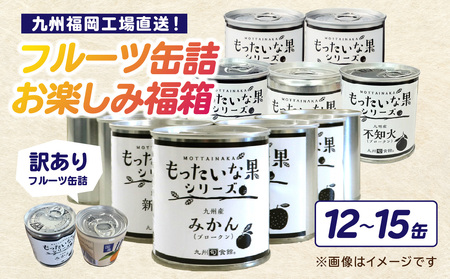 九州福岡工場直送! 訳あり フルーツ缶詰 お楽しみ 福箱 缶詰め 国産 保存食 非常食 防災 備蓄食 フルーツ缶詰 かんづめ フルーツ 果物 身割れ 福岡県 八女市 007-036