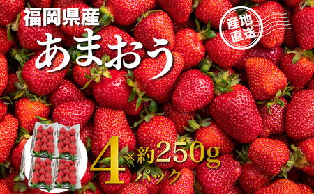 福岡県産あまおう 約250g×4パック いちご イチゴ 苺 あまおう フルーツ 果物 くだもの 250g 4パック 福岡県 八女市 155-005
