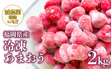 冷凍いちご 500g×4パック [大月いちご園] イチゴ 苺 あまおう 冷凍 2kg 大容量 果物 九州 国産 フルーツ スムージー ジャム 福岡県 八女市 210-003