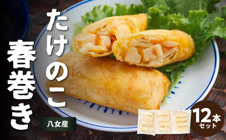 たけのこ春巻き12本セット 総菜 おかず お弁当 夕食 おつまみ 揚げるだけ 簡単 簡単調理 たけのこ 筍 小分け 使い切り 食べきり 福岡県 八女市 113-004