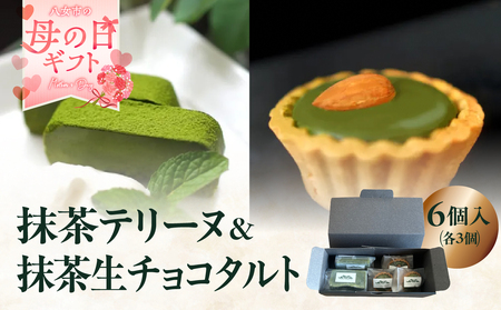 [母の日ギフト]抹茶テリーヌ・抹茶生チョコタルトのギフト スイーツ デザート 上品 焼き菓子 テリーヌ 抹茶 抹茶テリーヌ ケーキ タルト 贈答 母の日 プレゼント 福岡県 八女市 097-006-H