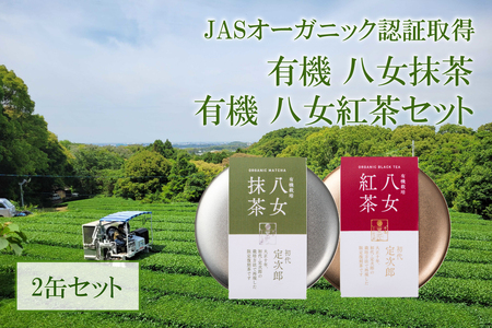 有機 八女抹茶(20g)・八女紅茶(30g)セット 茶 お茶 抹茶 紅茶 一番茶 二番茶 やぶきた 深蒸し茶 国産 八女産 福岡 数量限定 期間限定 028-018