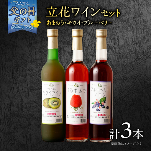 [父の日ギフト]ワイン3本セット[あまおうワイン、キウイワイン、ブルーベリーワイン] 父の日ギフト ギフト 贈り物 父の日 セット 純米酒 梅酒 立花町産 酸味 甘み バランス 上品 福岡県 八女市 066-005-C