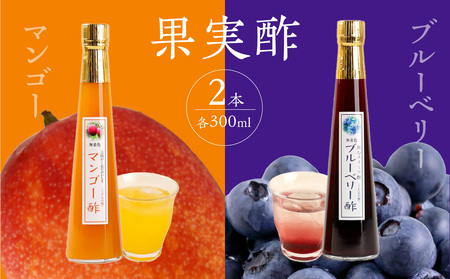果物酢（マンゴー・ブルーベリー）セット【牛乳やソーダ割・ヨーグルトにかけて】　001-035