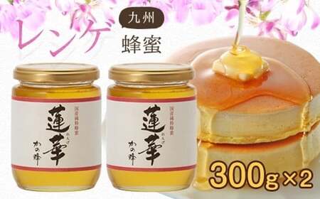 [国産]かの蜂 九州レンゲ蜂蜜[300g×2個]採蜜できる量が少ない貴重な純粋蜂蜜 蜂蜜 はちみつ ハチミツ 国産 蓮華 レンゲ 完熟 天然 非加熱 貴重 常温 保存 備蓄 防災食 非常食 保存食 防災グッズ 福岡県 八女市 024-005