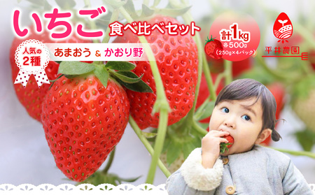 人気の2種いちご食べ比べセット「あまおう500g」+「かおり野500g」合計1kg