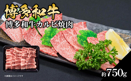 a Jrē 750g Y јa   a a  Jr o Y 3`5lO Ⓚ Ⓚz g؂TCY ~ i Z _炩 W[V[ ē Ƒc e