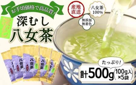 八女茶100% 深むし茶 たっぷり500g(100g×5袋)[岩崎園製茶] 075-001