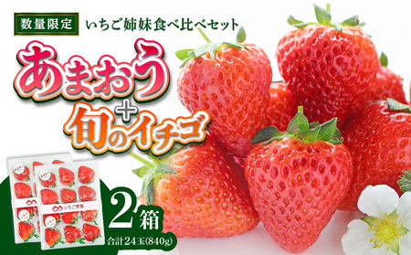 [2025年発送]いちご姉妹[あまおう+旬のイチゴ]食べ比べセット★数量限定★090-003