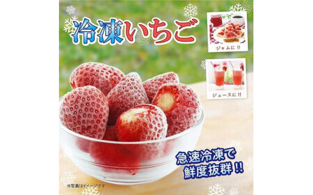 【急速冷凍イチゴ】食べ比べセット★グラニュー糖「なし」★｜1キロ 冷凍いちご