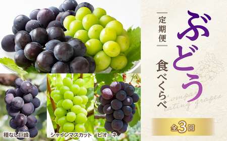 【先行予約】福岡ぶどう定期便【全3回】【ＪＡふくおか】ぶどう食べ比べ便 各1.4kg（種なし巨峰、ピオーネ、シャインマスカット） 002-T002