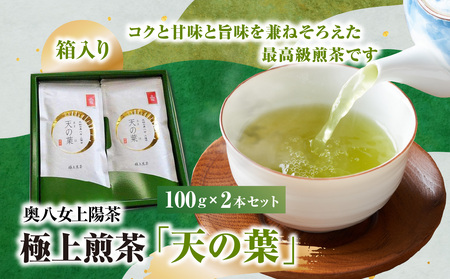 奥八女上陽茶 極上煎茶「天の葉」100g×2本セット箱 178-002