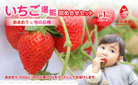 いちご堪能詰め合わせセット 250g×4パック(合計1kg)
