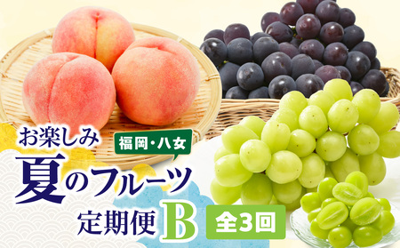 福岡八女　お楽しみ夏のフルーツ定期便Ｂ｜＜配送不可：北海道・沖縄・離島＞　072-T027