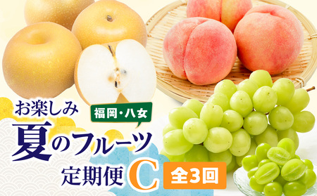 福岡八女　お楽しみ夏のフルーツ定期便C｜＜配送不可：北海道・沖縄・離島＞　072-T028