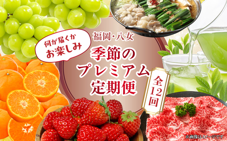 福岡・八女　季節のお楽しみプレミアム定期便【12ヶ月】全１２回＜配送不可：北海道・沖縄・離島＞　072-T057