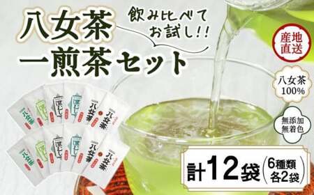 八女茶100% 飲み比べも楽しいお試しセット12袋! 急須1回分7gが12袋 [岩崎園製茶] 075-040