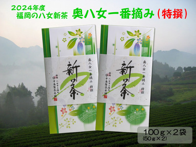 [新茶]ギフト用 八女新茶 一番摘み 特撰(100g×2袋)[2024年5月発送開始] 013-008-GFT