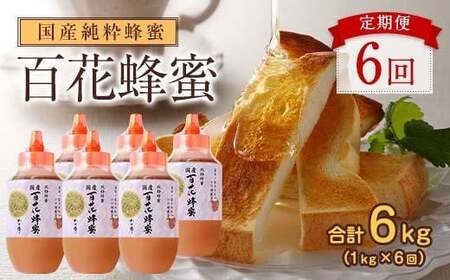 【全6回】 定期便 かの蜂 国産 百花蜂蜜 合計6kg（とんがり容器1kgを毎月1本お届け） 純粋はちみつ ハチミツ 非加熱 ハニー 大容量 定期便 美容 健康 自然食品 福岡県 024-T004