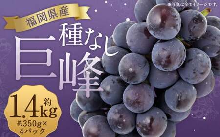 数量限定 種なし 巨峰 約350g×4パック 計約1.4kg [2025年6月下旬〜8月上旬発送予定]ぶどう ブドウ 果物 フルーツ 福岡県産