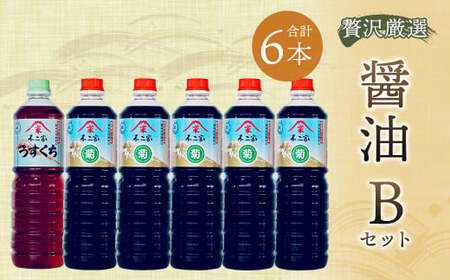 [贅沢厳選]醤油6本 Bセット 1L×6本 九州醤油 薄口 濃口