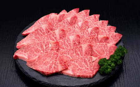 [訳あり] 博多和牛ヒレ焼肉 約600g×1パック 福岡県産 国産 牛肉 お肉 焼肉 BBQ