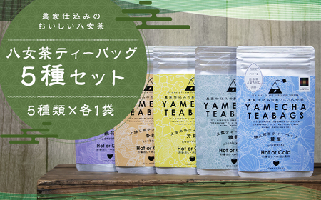  eB[obO 5×e1 Zbg  ʘI ق Ē  Β eB[obO {AWARDv`i܎ 