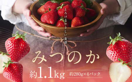 希少な地元産いちご 『みつのか』 280g×4パック 計1.12kg [2025年12月下旬から2026年3月下旬発送予定]