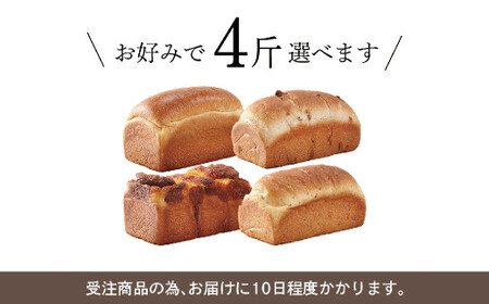 yނIׂzEp Hp 4҃Zbg ^ p v[  `[Y  ĕ ĕp ĕubh 2 Ⓚ  }s