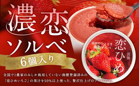 濃恋ソルベ 80ml×6個入 [2025年5月上旬以降順次発送予定] ソルベ アイス デザート スイーツ いちご ギフト 冷凍 福岡県 筑後市