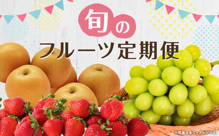 【年3回定期便】数量限定！ 旬のフルーツ 定期便【 梨 ・ シャインマスカット ・ あまおう 】 【2026年7月下旬頃から順次発送予定】