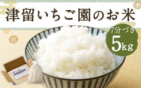 津留いちご園のお米 7分づき  農薬・化学肥料不使用（栽培期間中） 5kg 【2024年11月上旬から2025年10月下旬発送予定】 米 お米 ご飯 九州 福岡