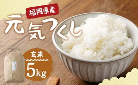 [栽培期間中肥料・農薬不使用]福岡県産 元気つくし 玄米 5kg お弁当 [2025年11月上旬より順次発送予定]