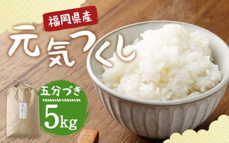 y͔|Ԓ엿E_sgpzY C ܕÂ 5kg   ٓ y2025N11{菇\z