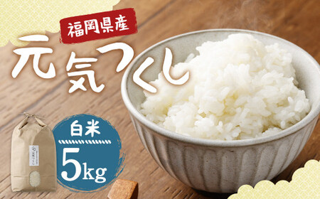 [栽培期間中肥料・農薬不使用]福岡県産 元気つくし 白米 5kg お弁当 [2025年11月上旬より順次発送予定]