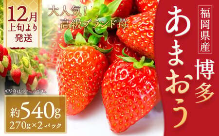 いちご「あまおう」 約270g×2パック 計約540g 苺 イチゴ 果物 フルーツ [2025年12月上旬〜2026年1月下旬順次発送予定]