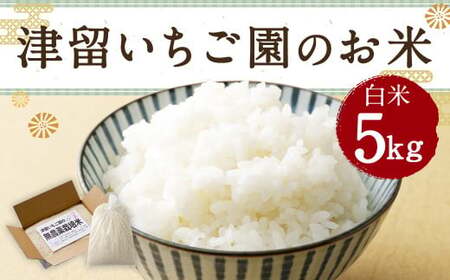 津留いちご園のお米 白米 農薬・化学肥料不使用(栽培期間中) 5kg [2025年11月上旬から2026年10月下旬順次発送予定] 米 お米 ご飯 精米 九州 福岡