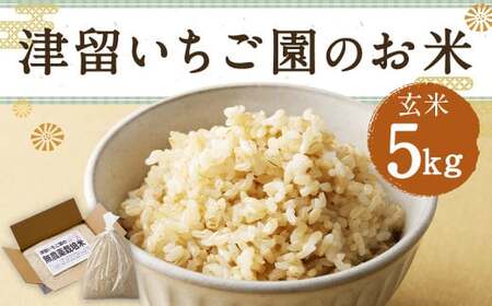 津留いちご園のお米 玄米 農薬・化学肥料不使用(栽培期間中) 5kg [2025年11月上旬から2026年10月下旬順次発送予定] 米 お米 ご飯 九州 福岡