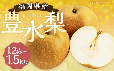 豊水梨 約1.2kg～1.5kg 3玉 【よらん野】【2026年8月下旬から9月下旬発送予定】 ナシ なし 梨 フルーツ くだもの 果物 果実 3玉
