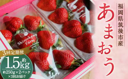 【3回定期便】 特別栽培の 濃厚 完 熟あまおう 約500g 約250g×2パック 【2026年1月上旬から3月下旬発送予定】 苺 いちご 果物 フルーツ 福岡県