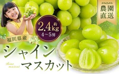 農園直送！ シャインマスカット 約2.4kg 4?5房 【2026年9月上旬から10月上旬発送予定】 ぶどう マスカット 果物 フルーツ