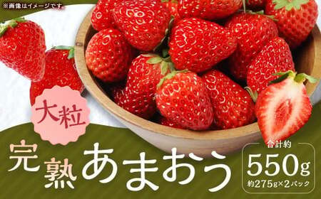 完熟あまおう（大粒サイズ）275g×2パック 計約550g【2026年1月上旬から3月下旬頃発送予定】 苺 いちご イチゴ 果物 くだもの フルーツ 国産 冷蔵