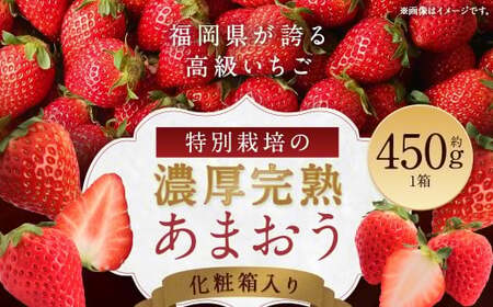 化粧箱入り 特別栽培 の 濃厚 完熟 あまおう 約450g 1パック 【2026年1月上旬～3月下旬まで発送予定】 いちご 苺 果物 フルーツ