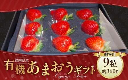 贈答用有機あまおうギフト [2026年1月上旬〜3月下旬頃発送予定] 苺 いちご イチゴ 果物 くだもの フルーツ 国産 冷蔵 有機あまおう あまおう 贈答用 ギフト