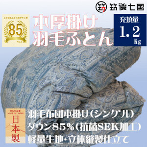 抗菌ダウン率85%1.2kg本厚掛け羽毛布団シングル(ブルー・グリーン系)訳あり【筑後七国羽毛ふとん】【1346799】