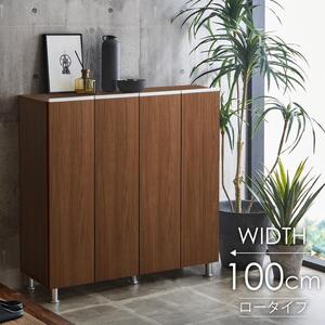 シューズボックス  【リアル100LO】 アンディーライト