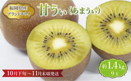 [福岡県産]キウイ『甘うぃ』 約1.4kg