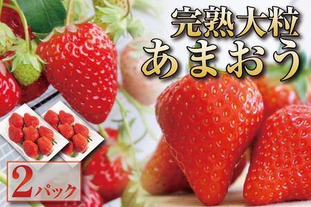 y12{ȍ~oח\zn 嗱 ܂ C`S 280g×2pbN(560g)zsFkCAꌧA