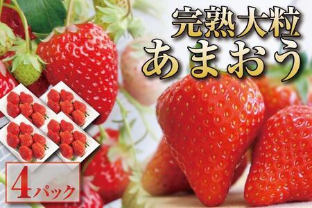 y12{ȍ~oח\zn 嗱 ܂ C`S 280g×4pbN(1120g)zsFkCAꌧA